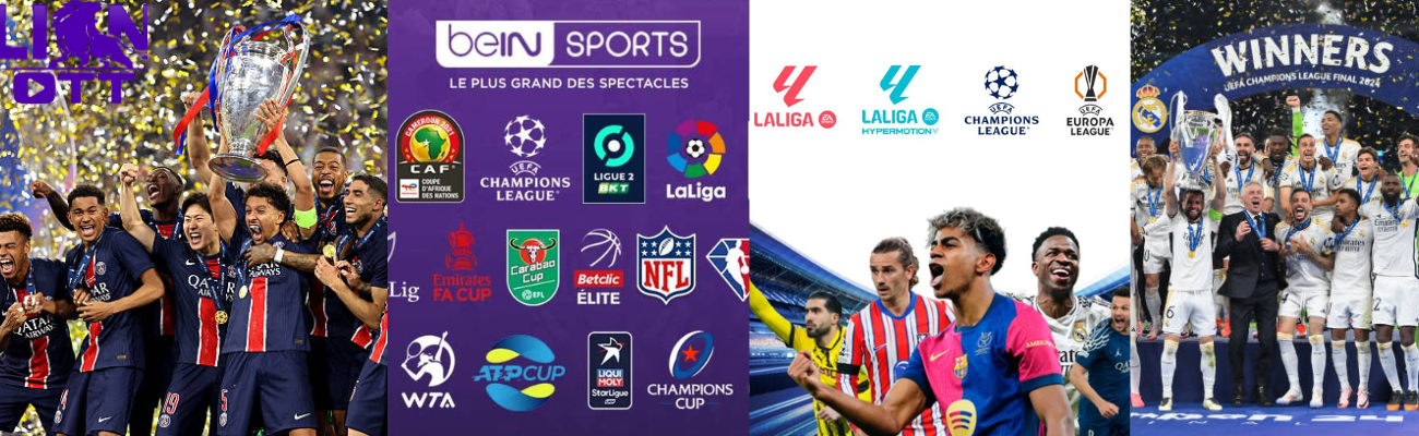 contact-us reseller IPTV Lion OTT