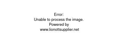 D+ - The Lion Guard (US) 1