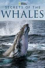 D+ - Secrets of the Whales (US) 8