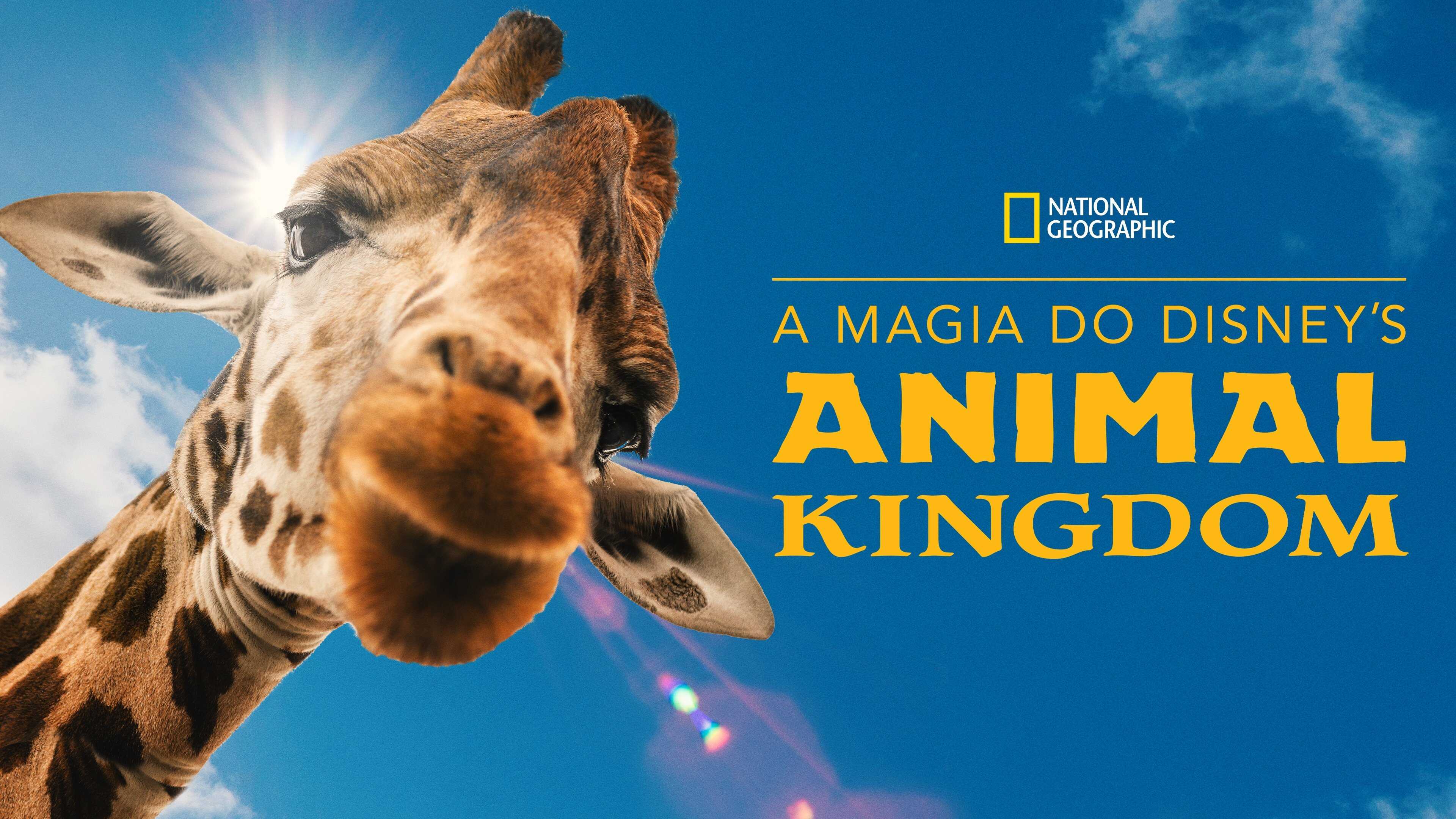 FR - Au cœur d’Animal Kingdom 4