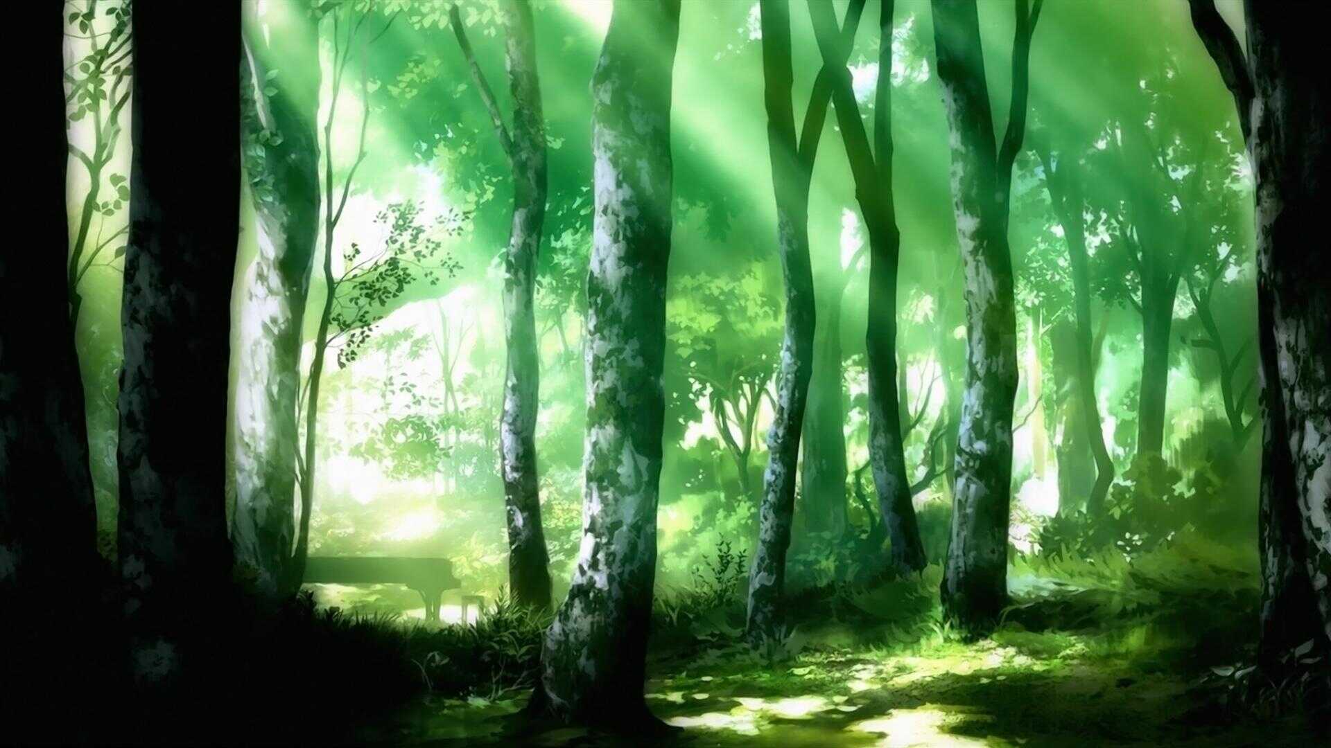 FR - Le Piano dans la forêt 1