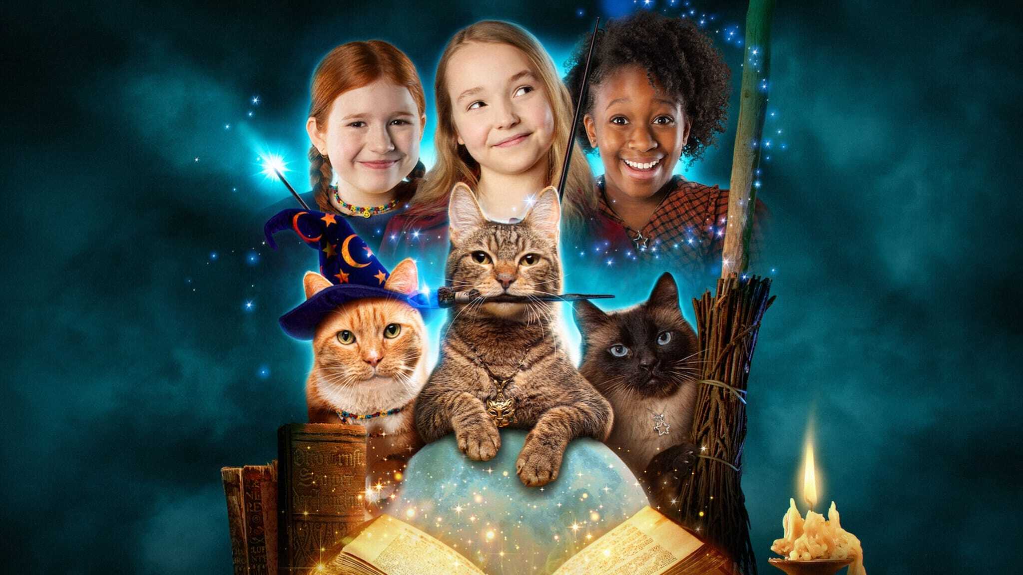 EN - Scaredy Cats (2021) 0