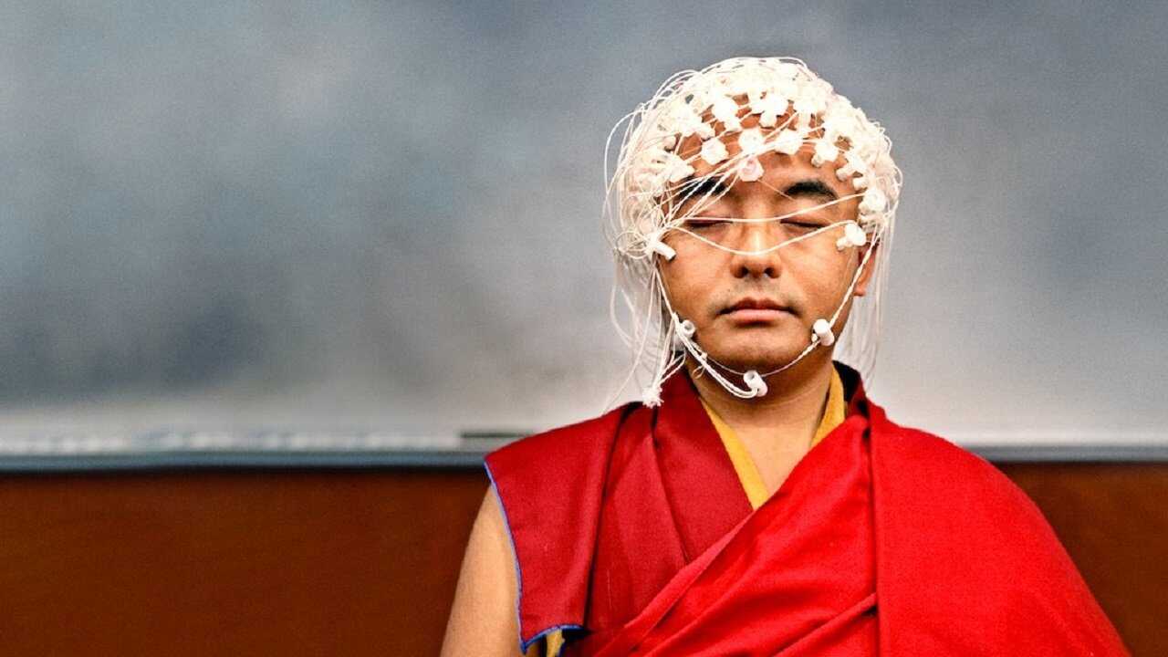 FR - Le cerveau, en bref 1