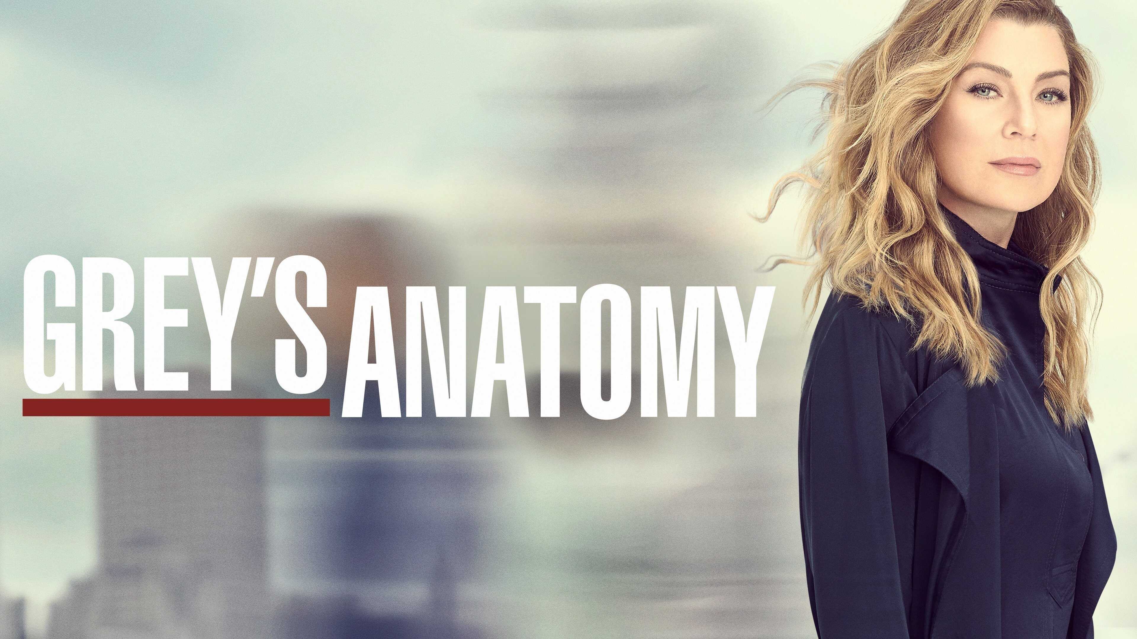 FR - Grey's Anatomy 4