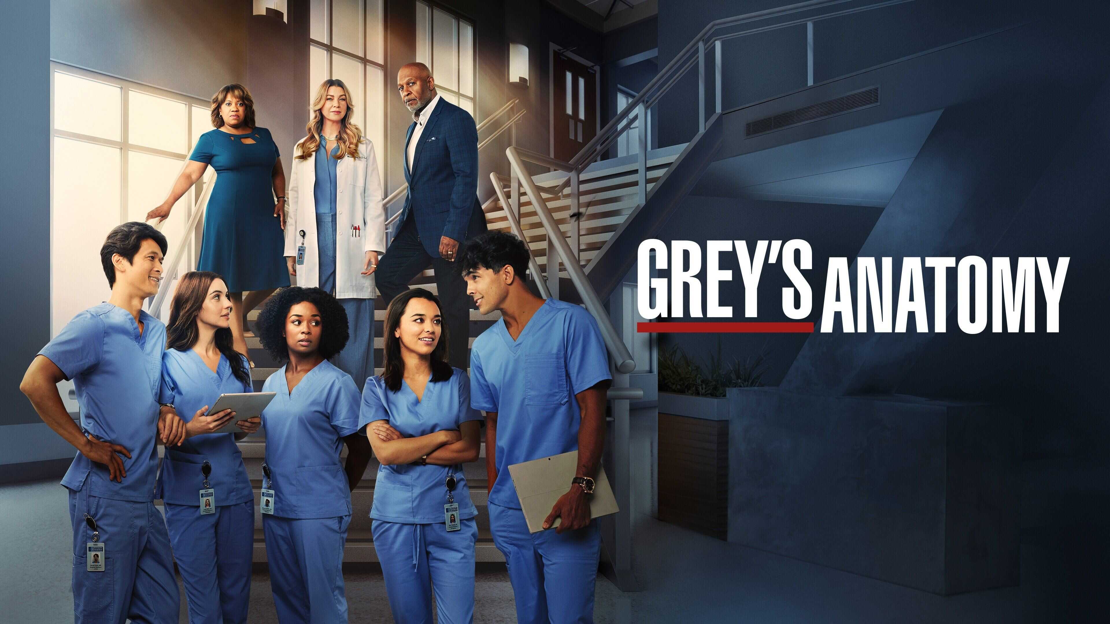 FR - Grey's Anatomy 1