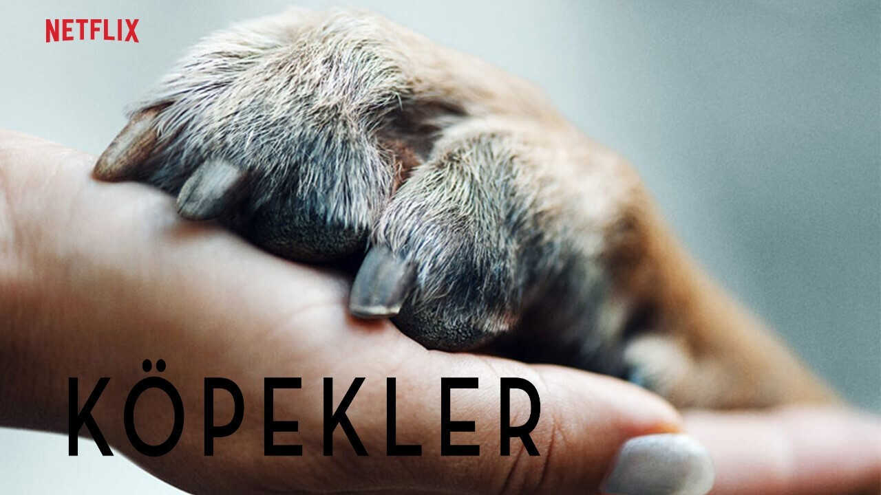 FR - Nos amis les chiens 3