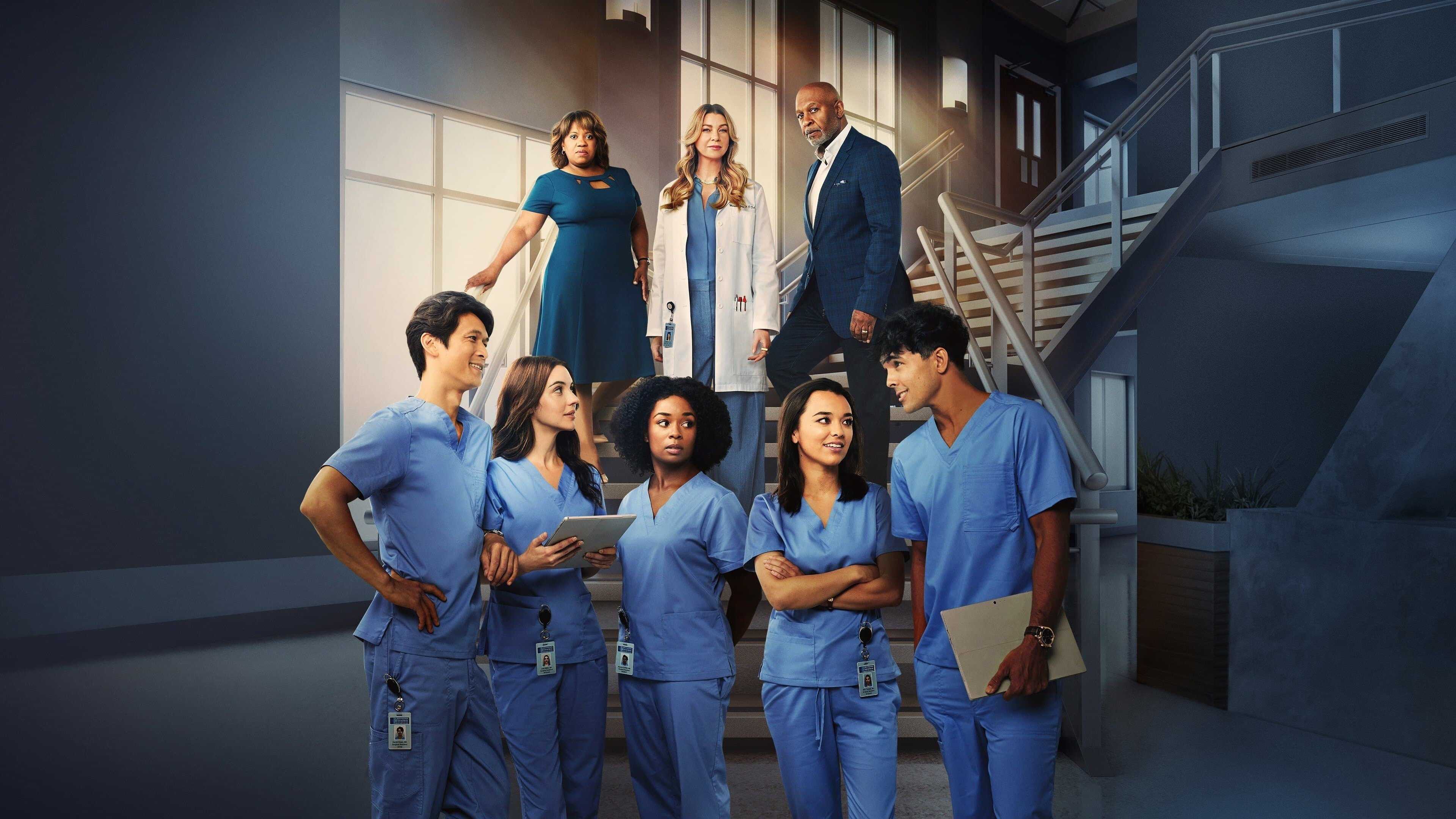 FR - Grey's Anatomy 0