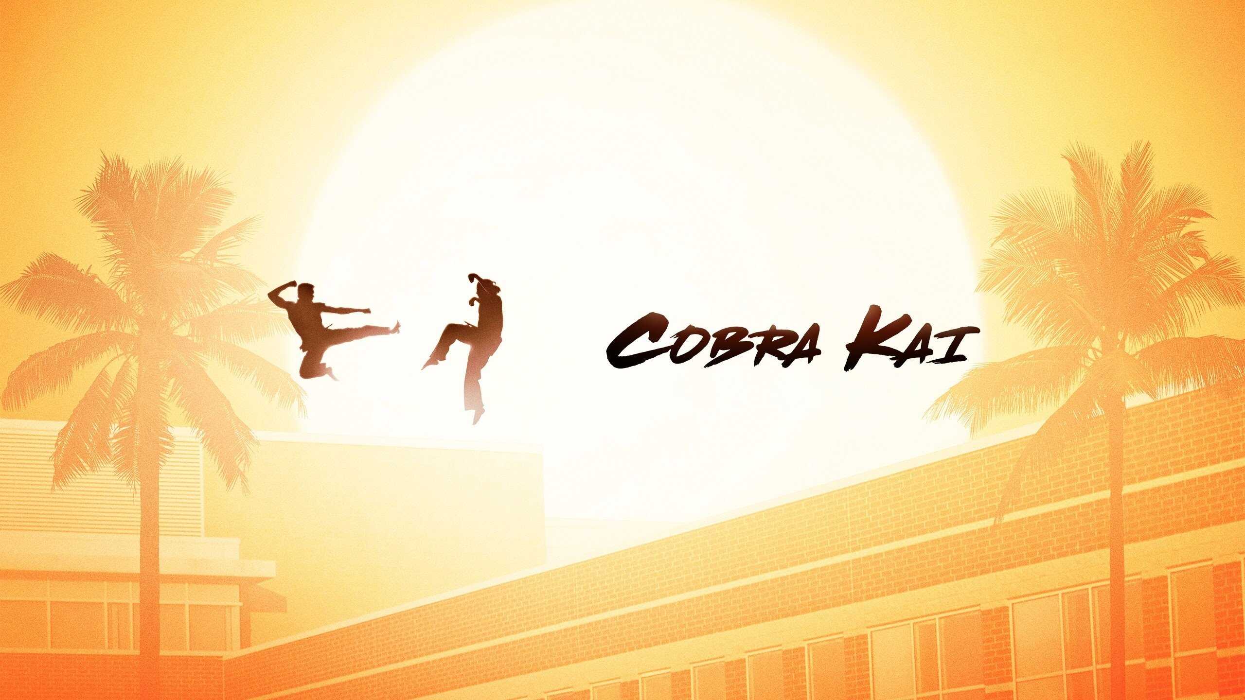 NF - Cobra Kai 4