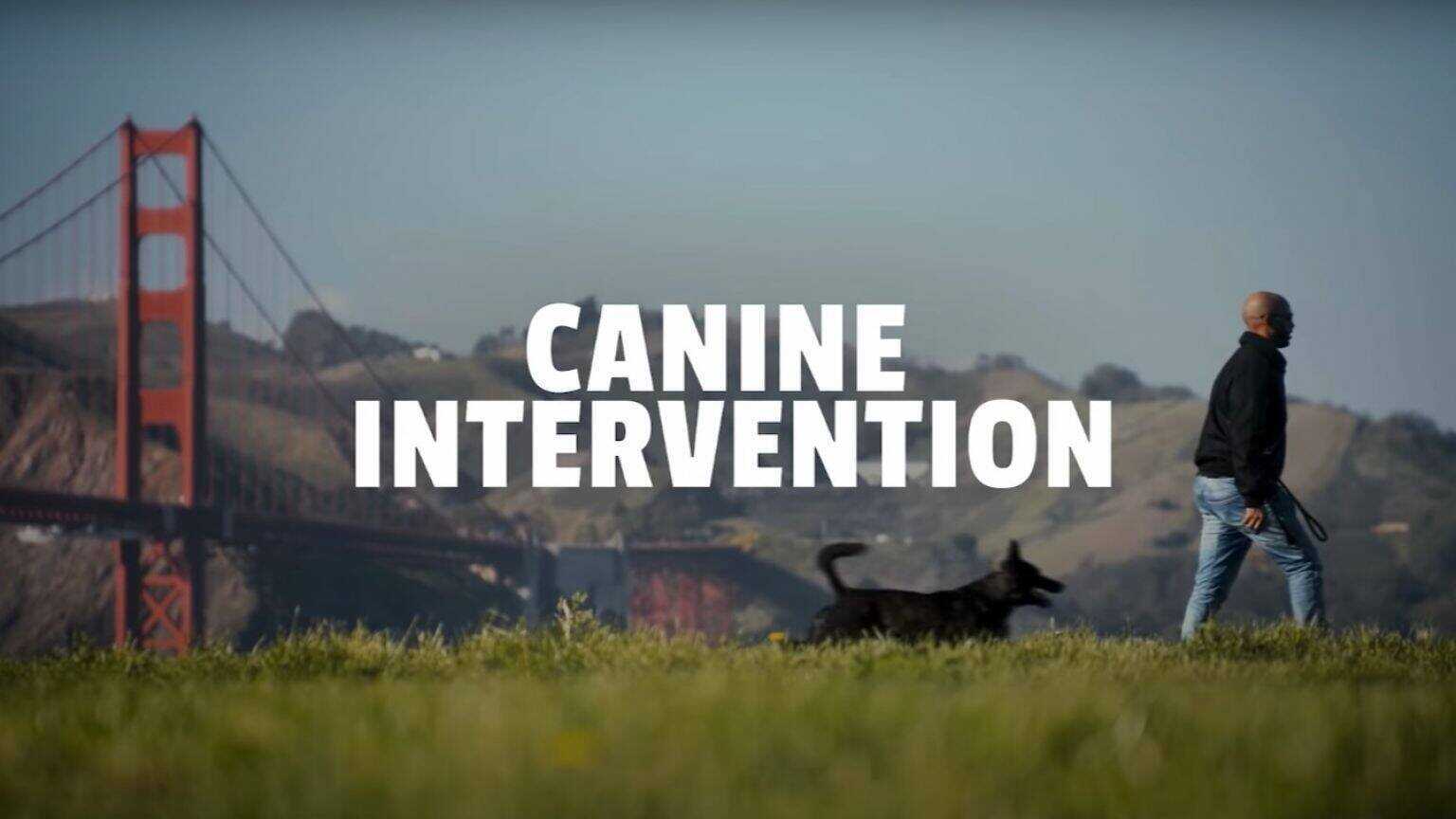 NF - Canine Intervention 0