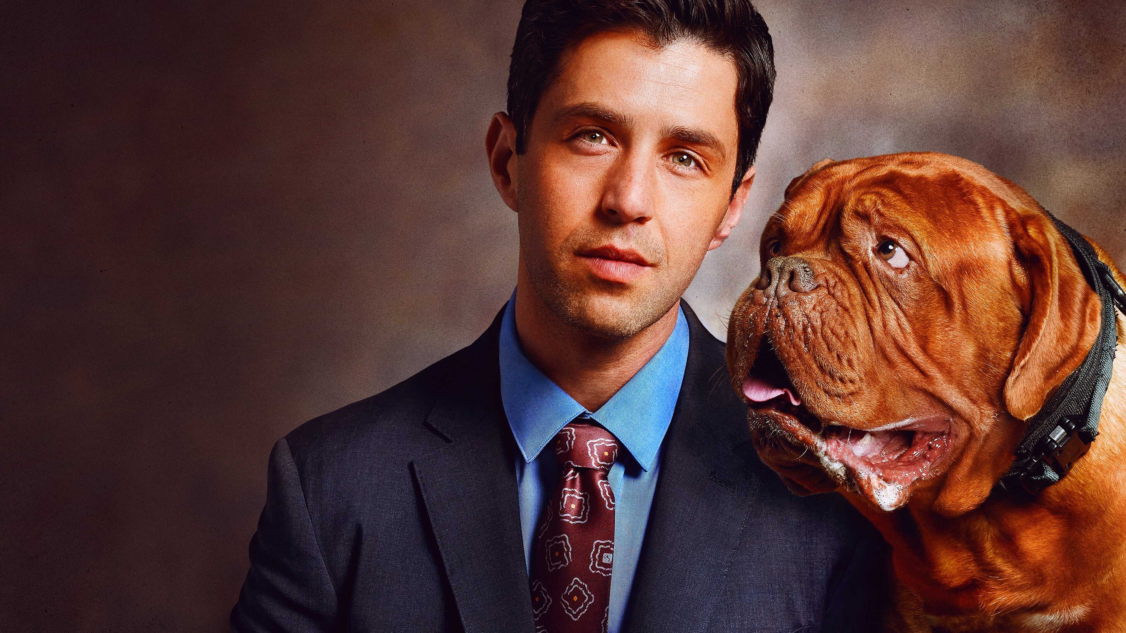 D+ - Turner & Hooch 0