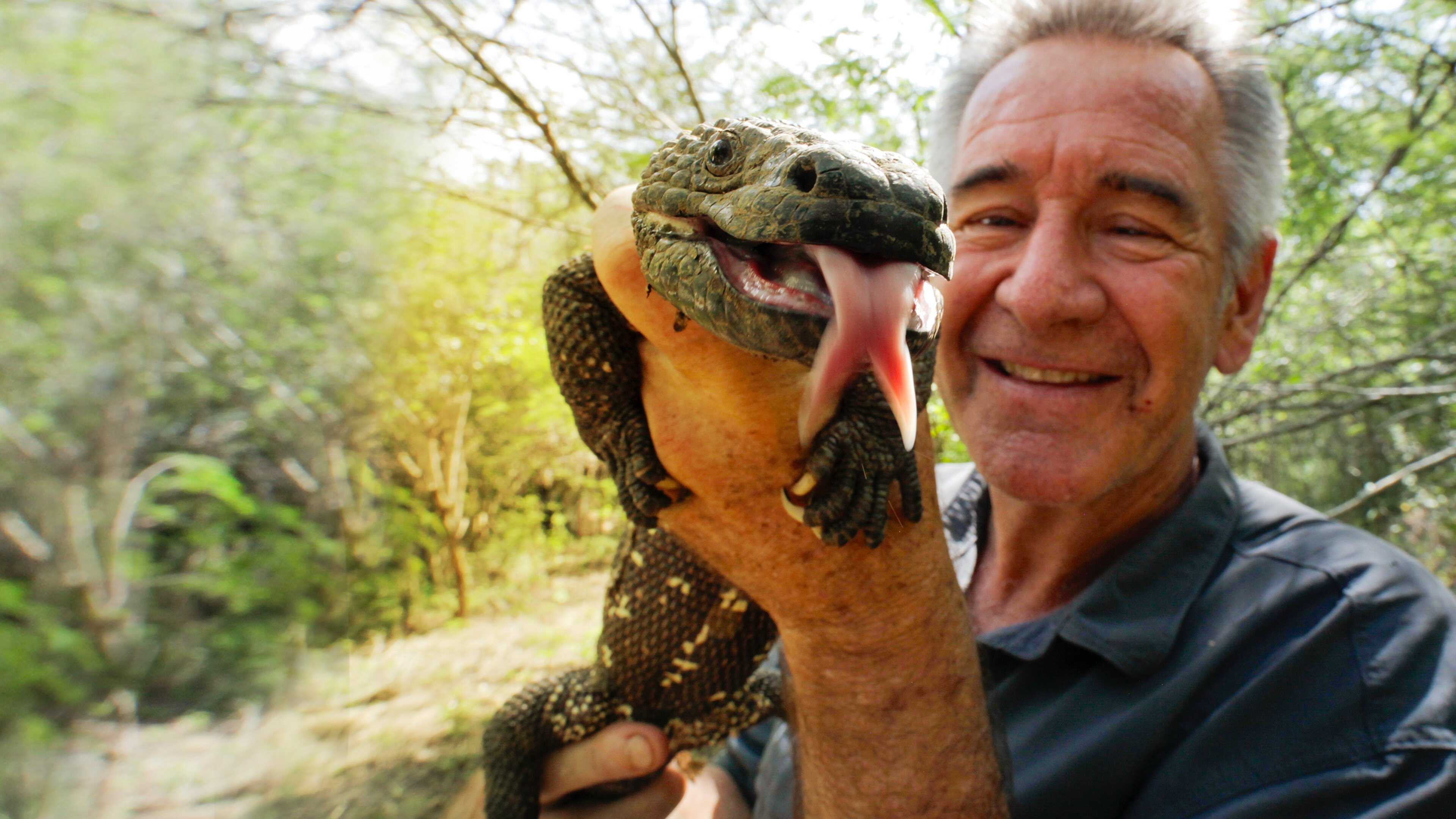 D+ - Wild Central America 0