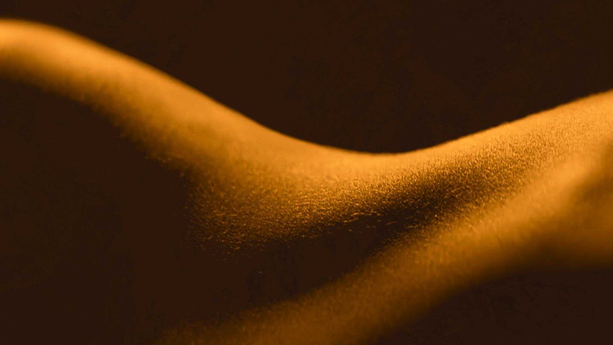 FR - Le sexe, en bref 1