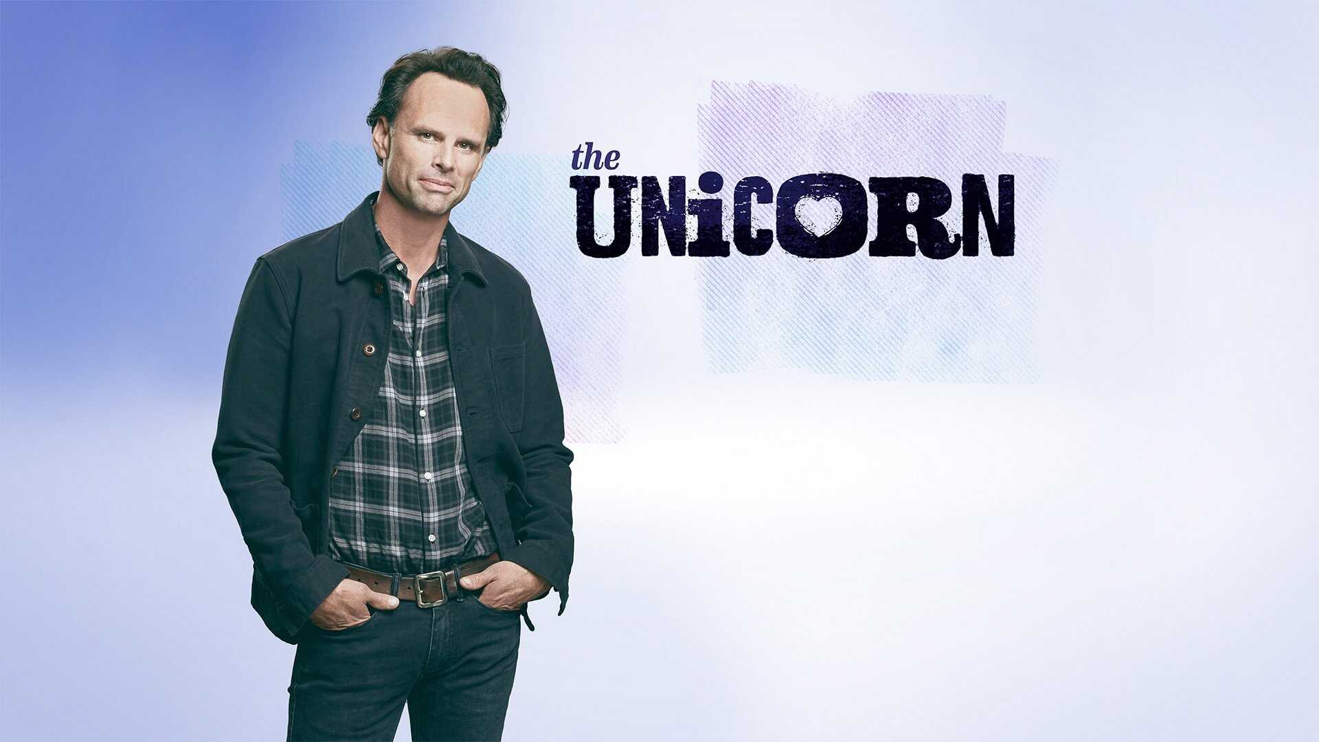 FR - The Unicorn 3