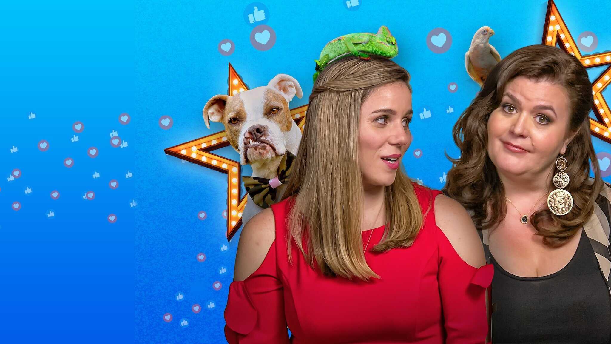 NF - Pet Stars 0