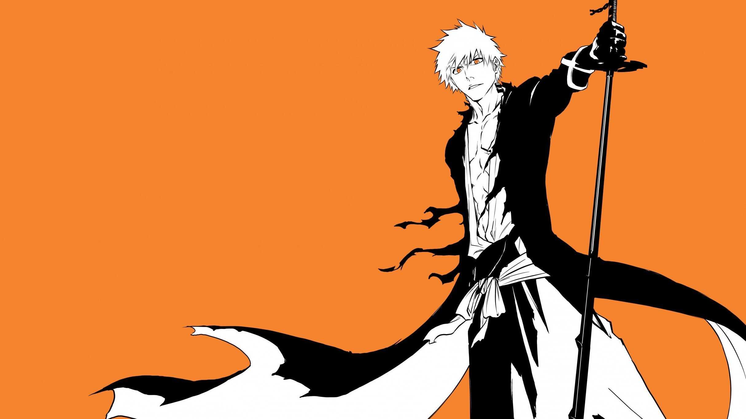 FR - Bleach 4