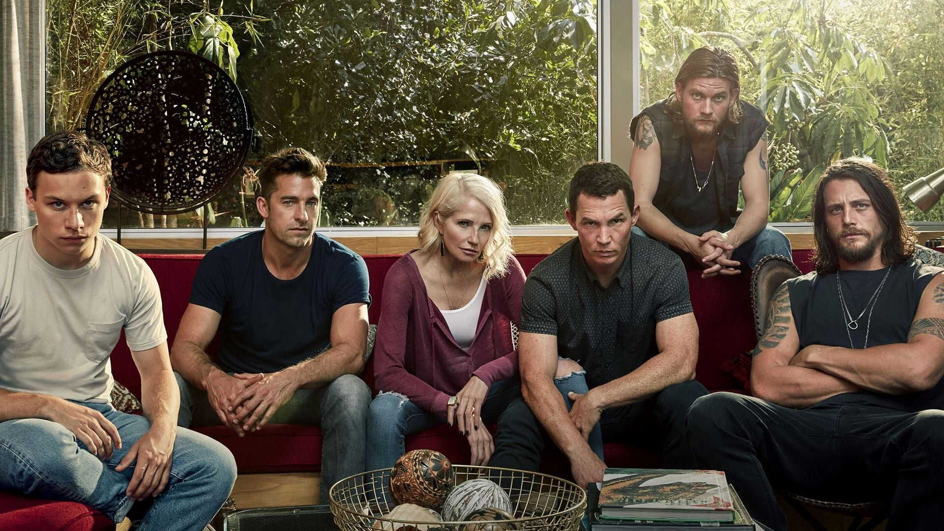 FR - Animal Kingdom 3