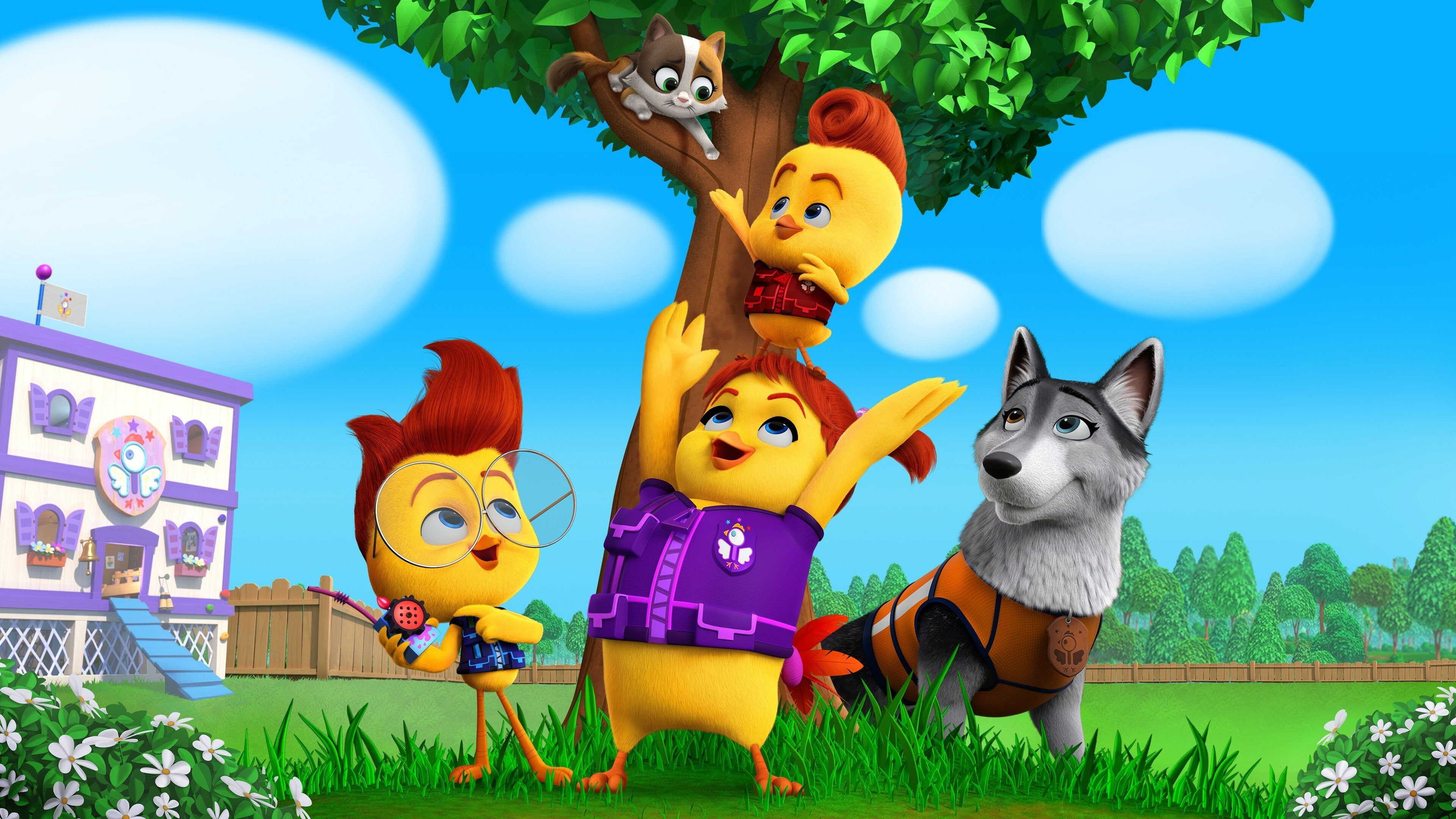 D+ - The Chicken Squad 0