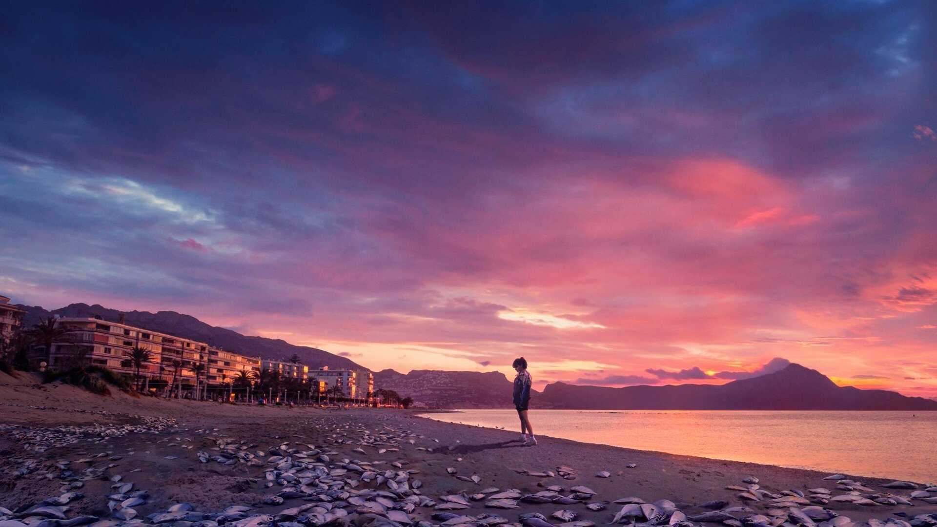FR - Paraíso 3