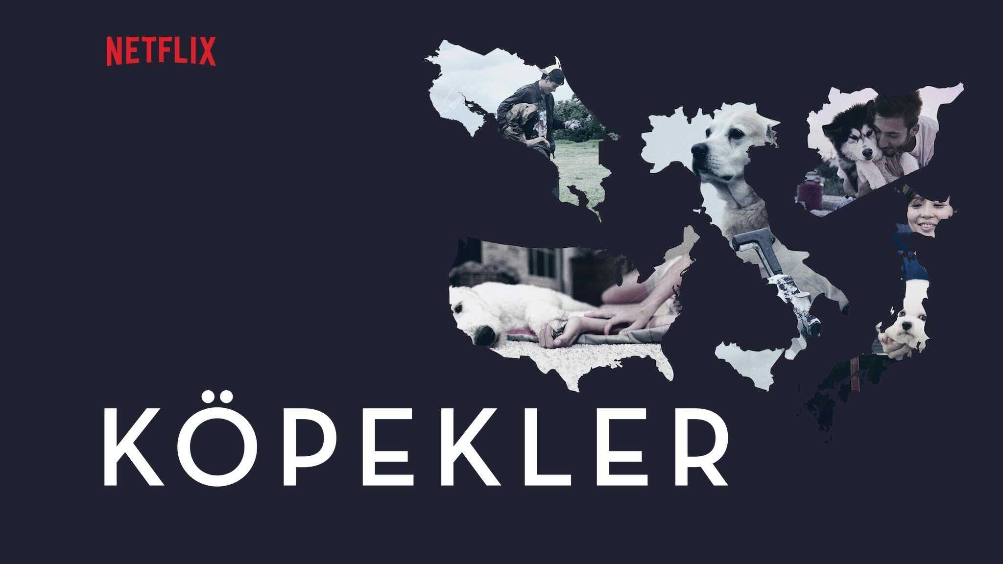 FR - Nos amis les chiens 2