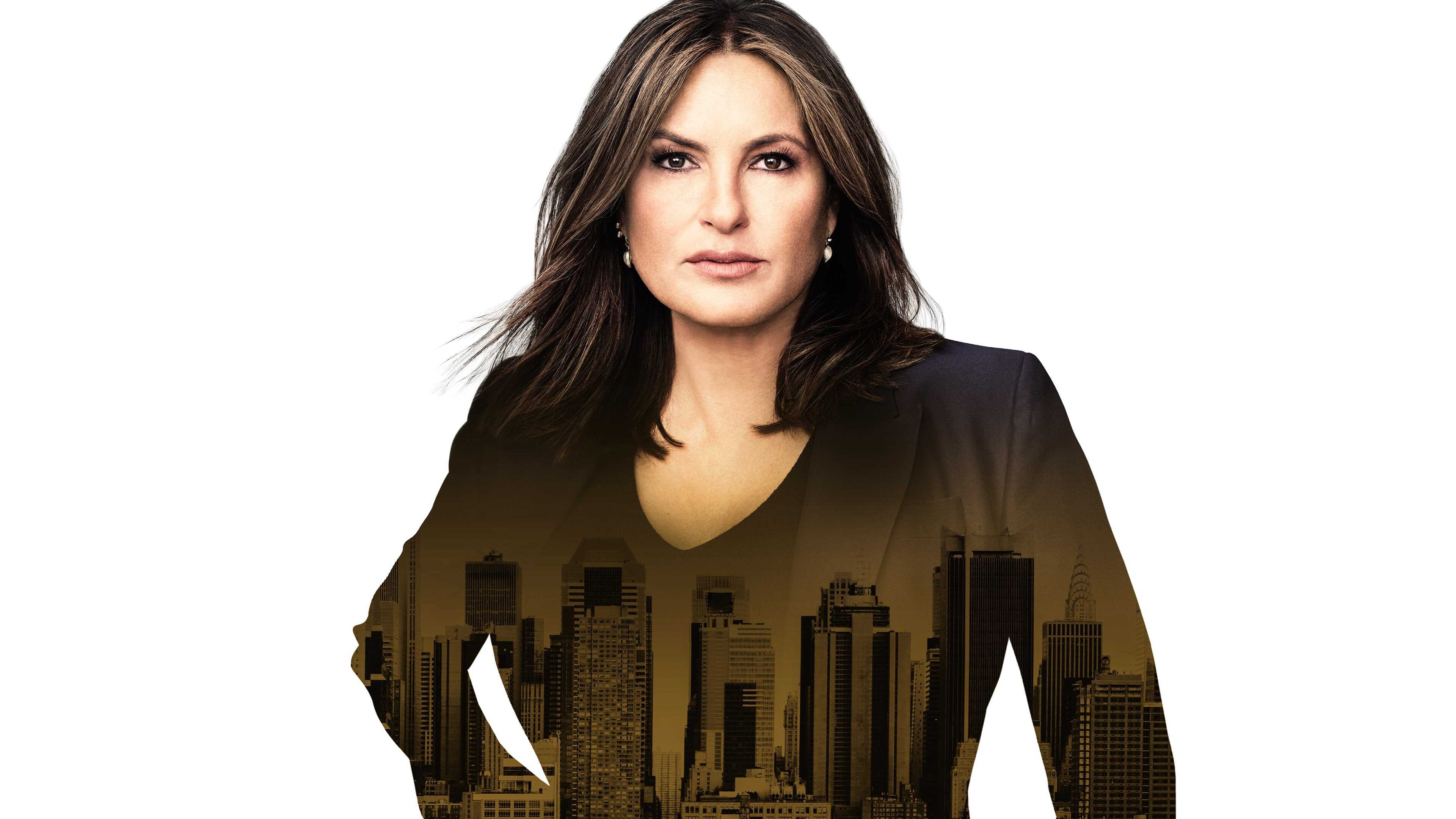 FR - New York, unité spéciale 2