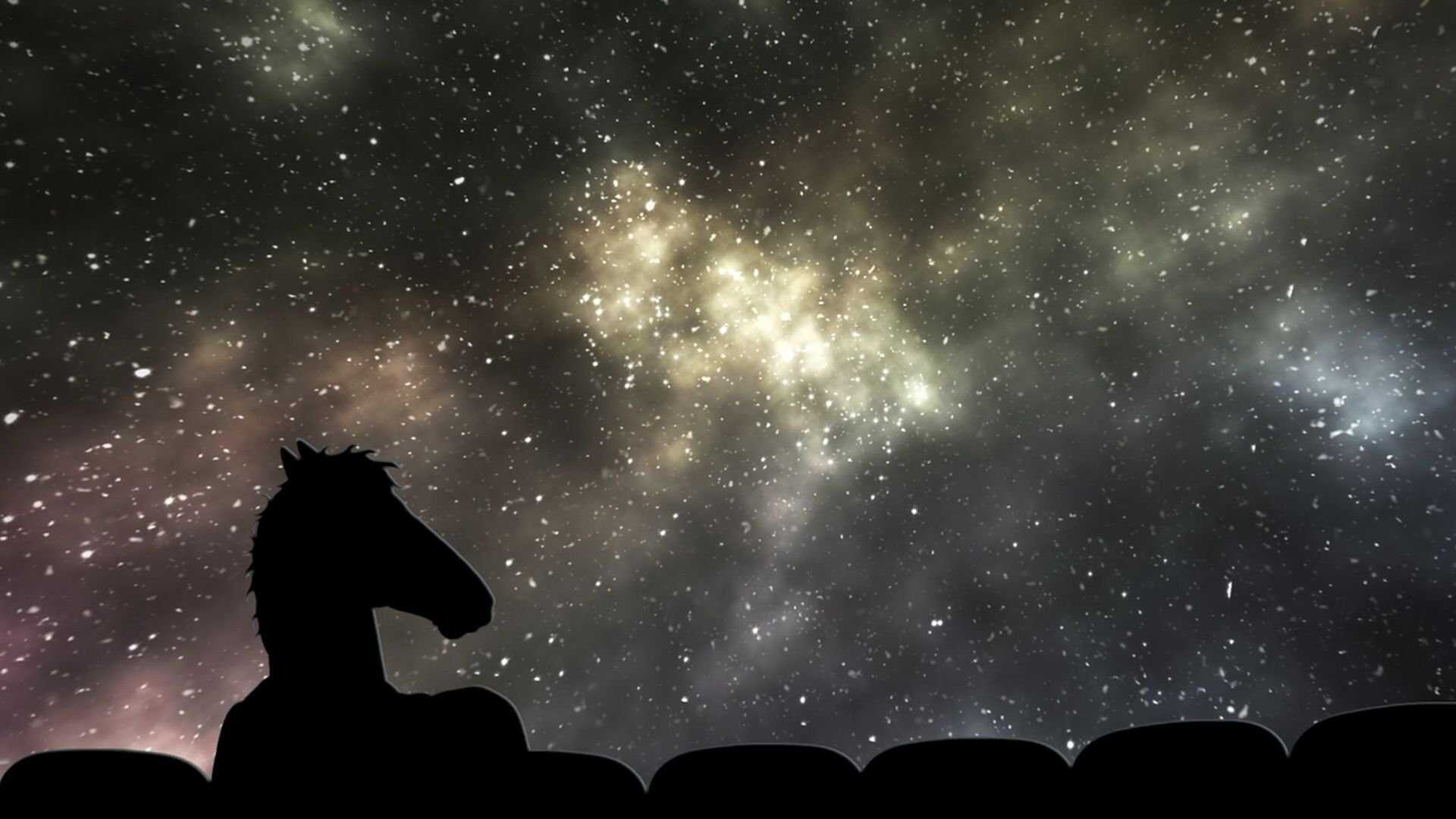 FR - BoJack Horseman 1