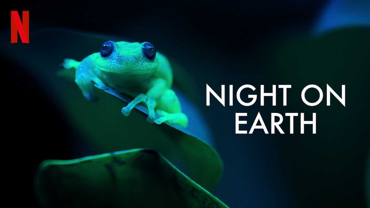 FR - La Terre, La Nuit 2
