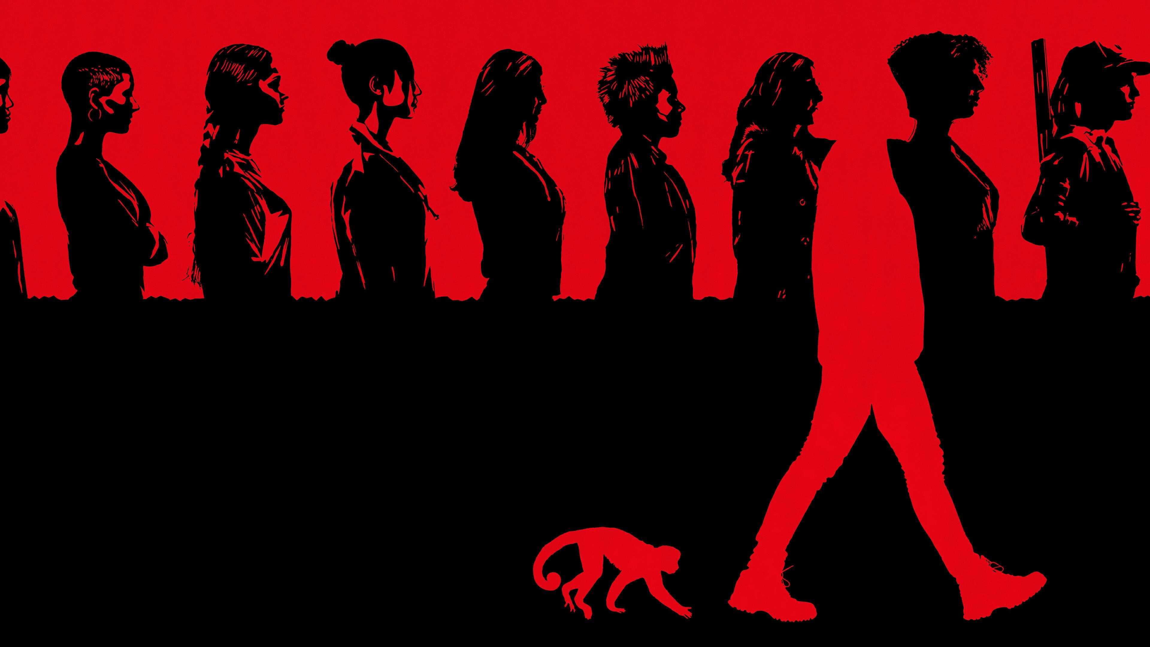 D+ - Y: The Last Man 0