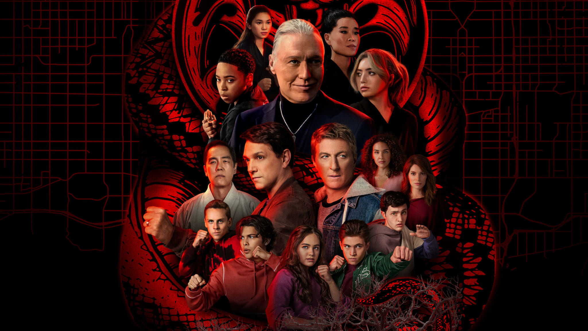 NF - Cobra Kai 0