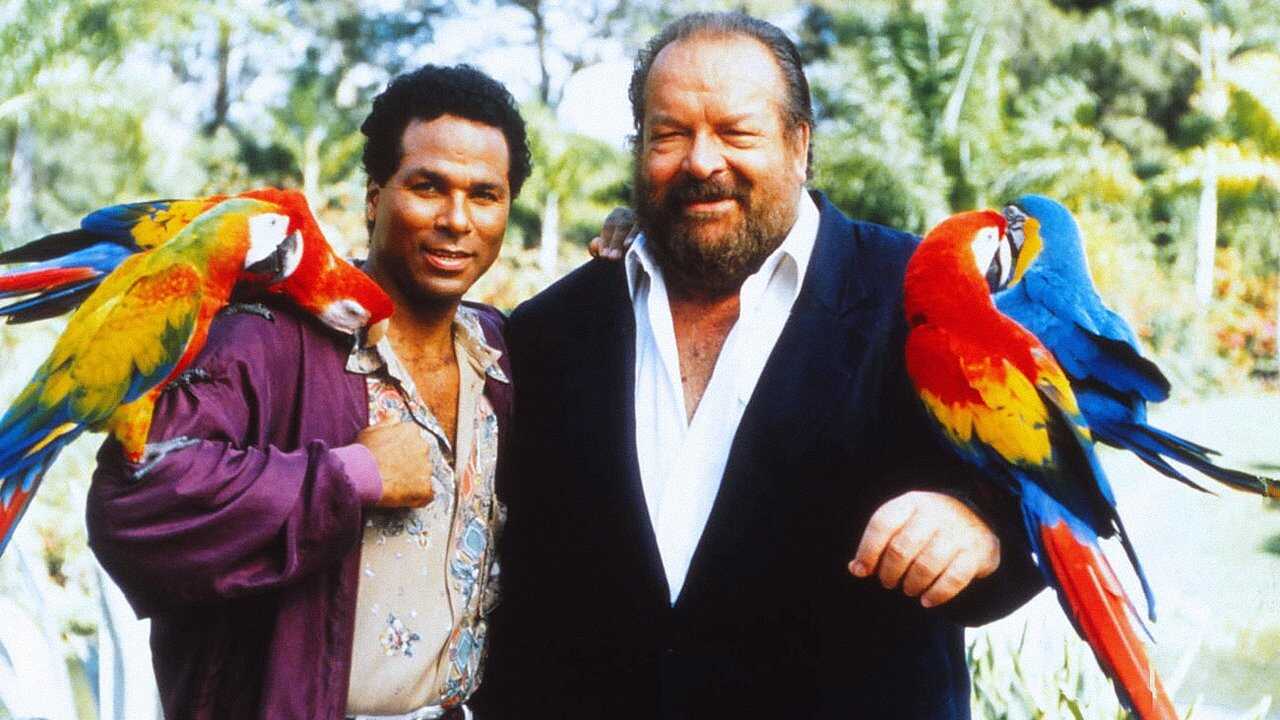 DE - Zwei Supertypen in Miami (1991) 0
