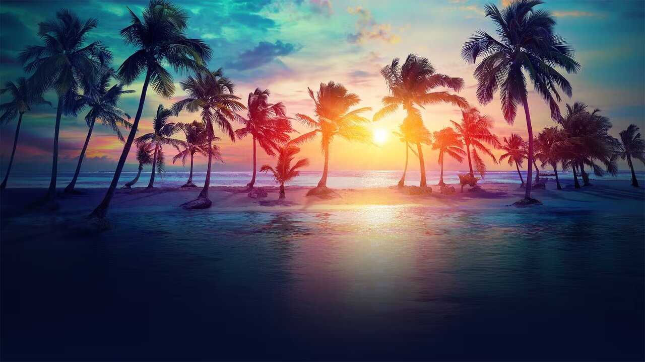 FR - Les Anges de la Téléréalité (2011) (FR) 0