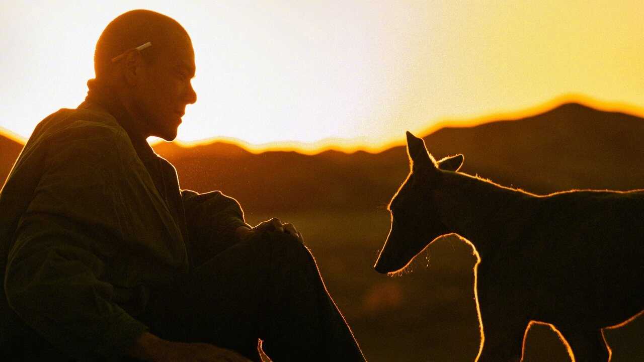 Black Dog (2024) 0