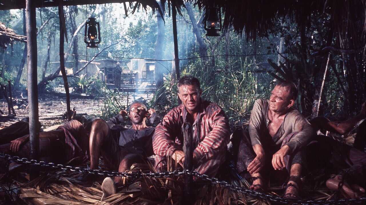 Motylek (1973) 0