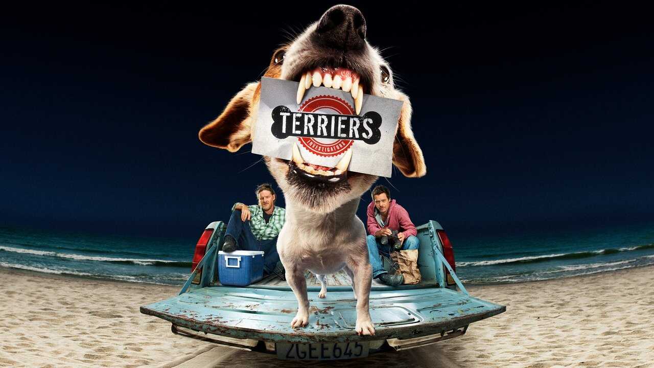 NL - Terriers 2