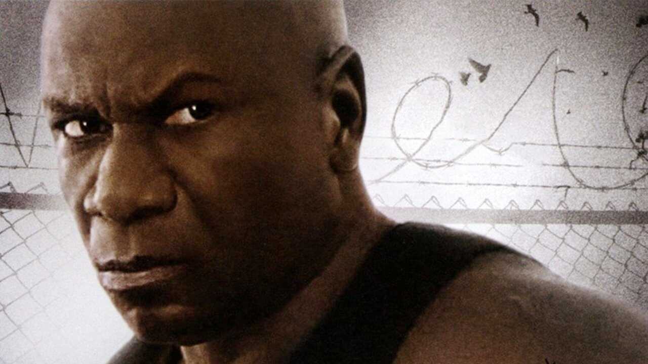 Animal (2005) 0