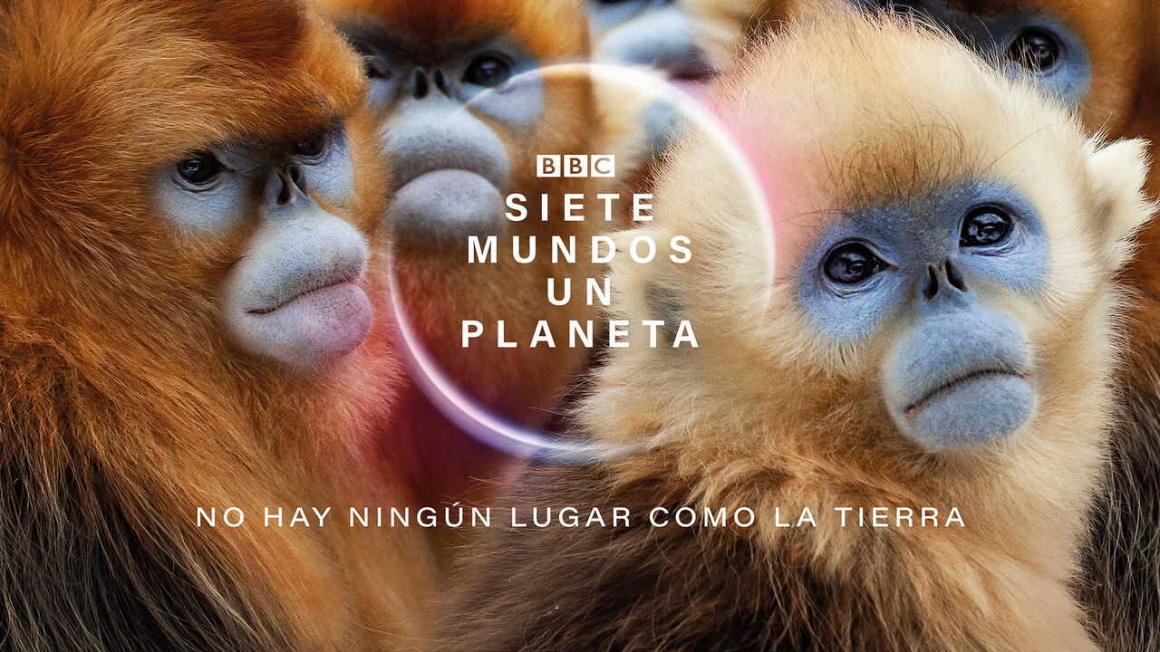 FR - Une planète, sept mondes sauvages (2019) (GB) 4