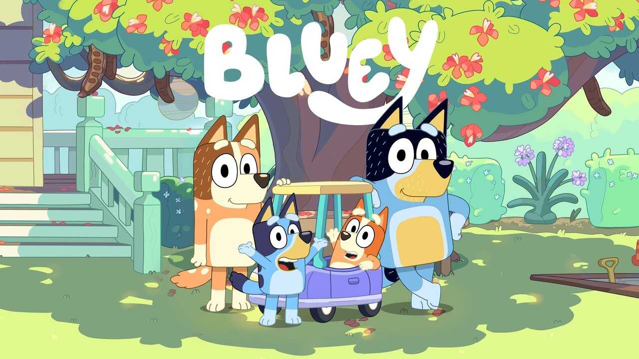 PL - BLUEY 3