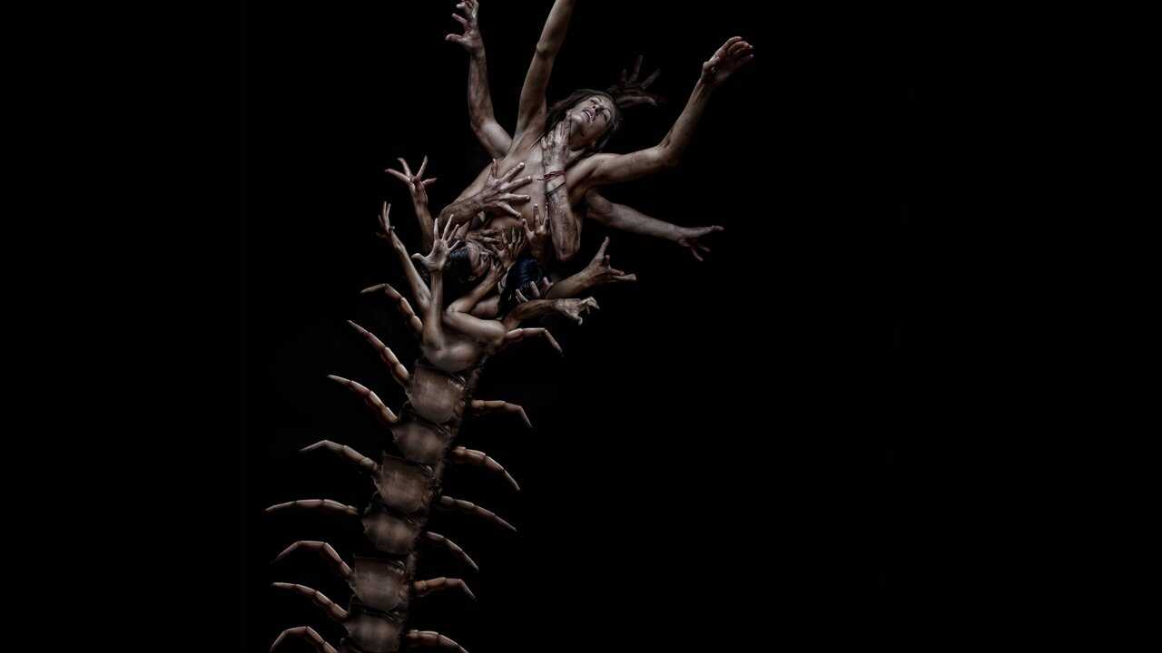 The Human Centipede 2 (2011) 0