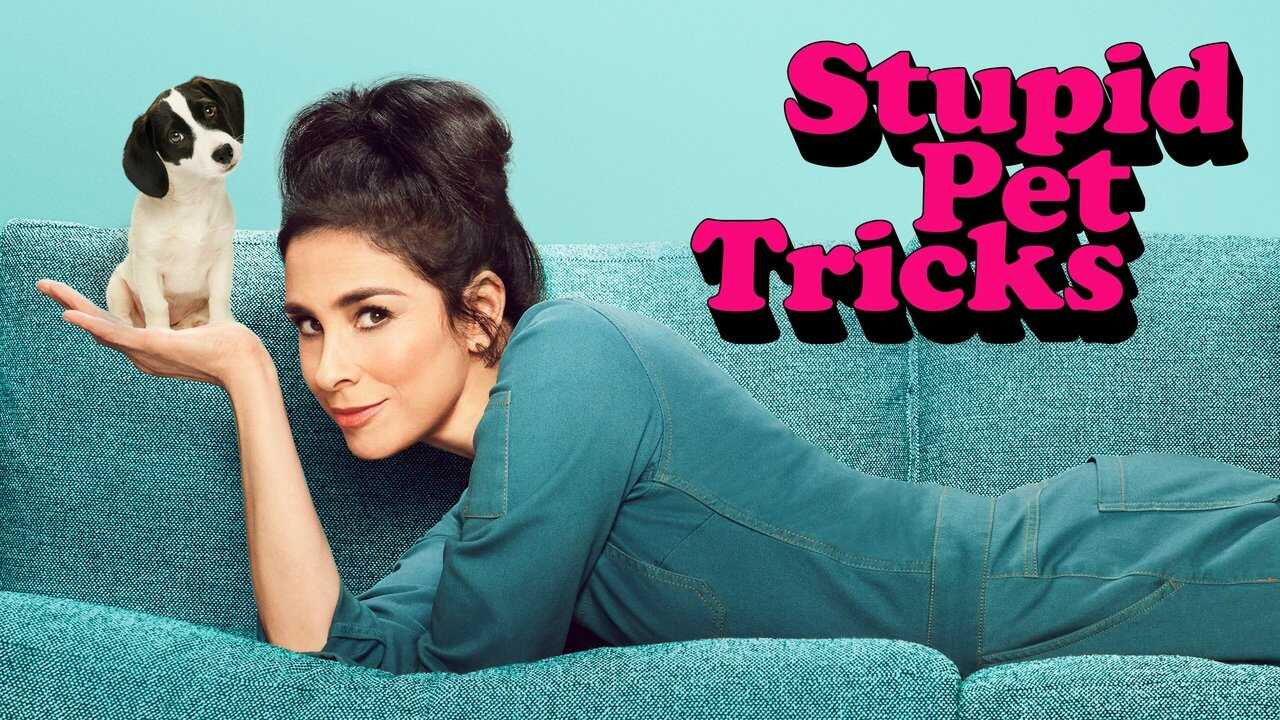 EN - Stupid Pet Tricks (2024) 2