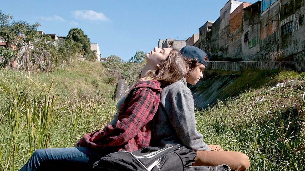 Meio Irmão 0