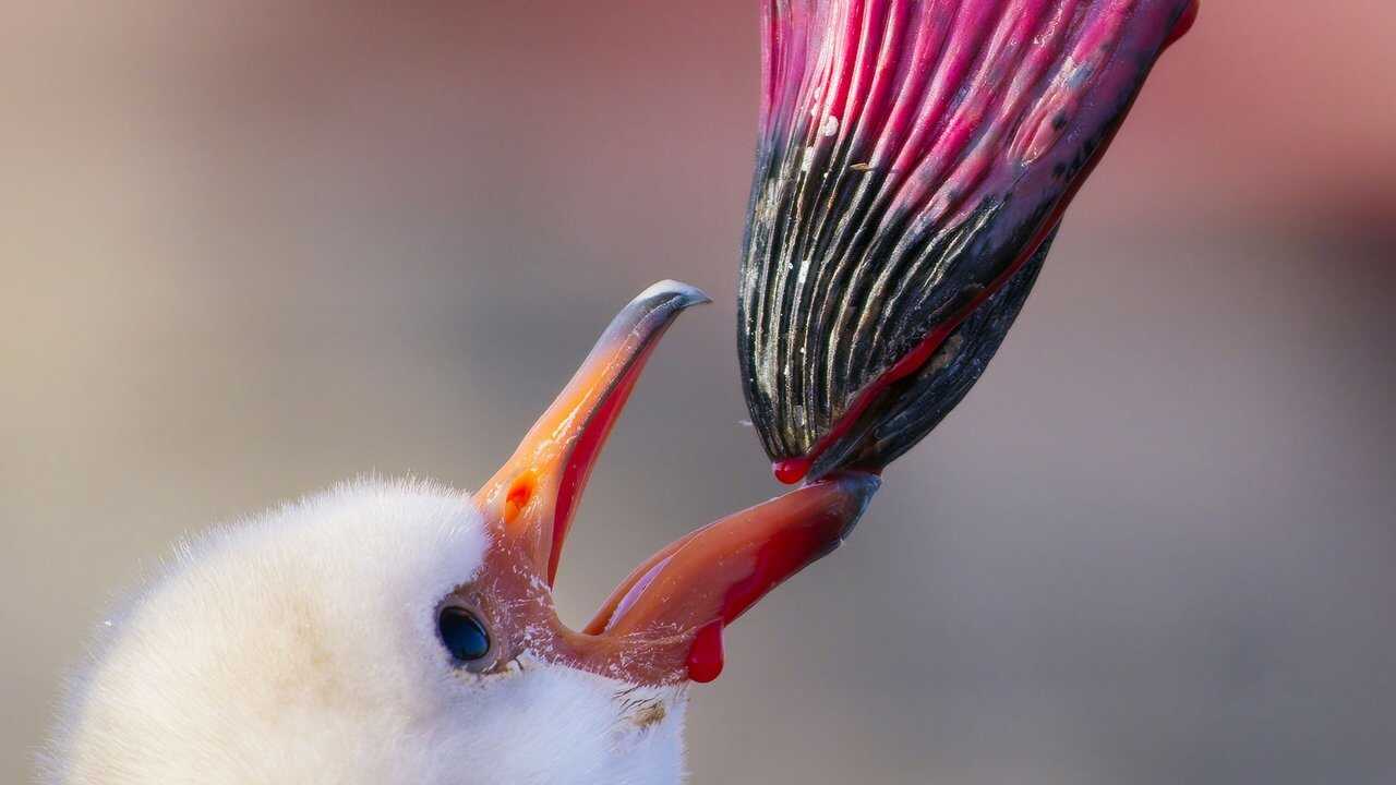 FR - Une planète parfaite (2021) (GB) 2