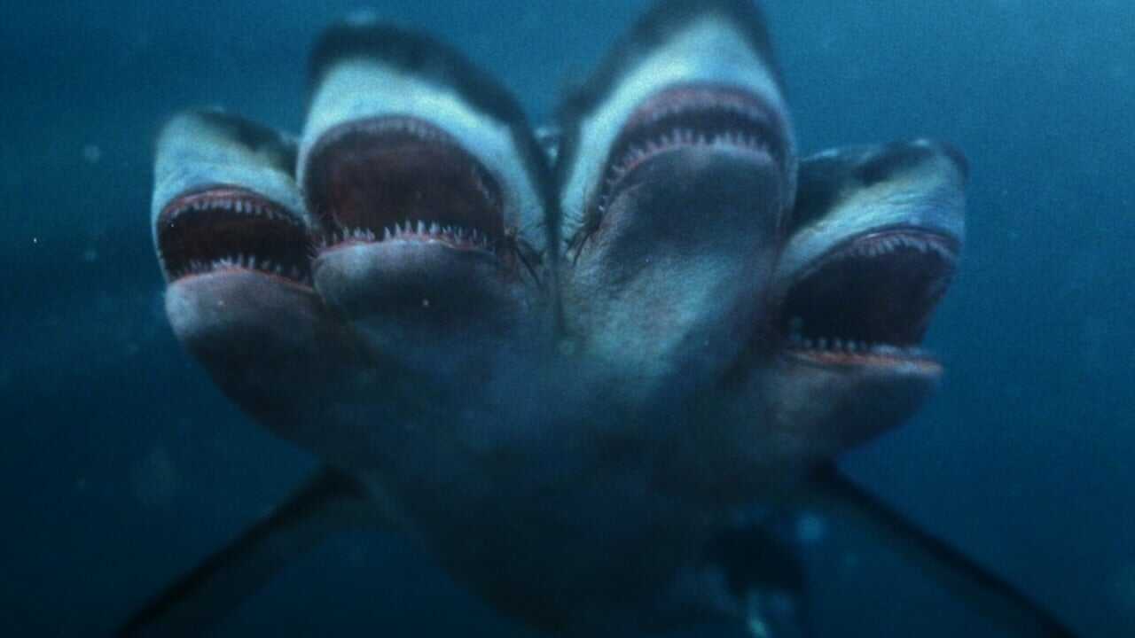 5 Headed Shark Attack 0