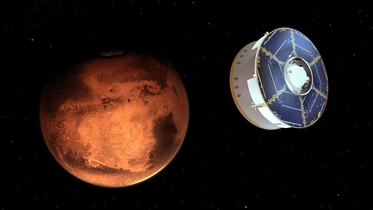Looking for Life on Mars 0