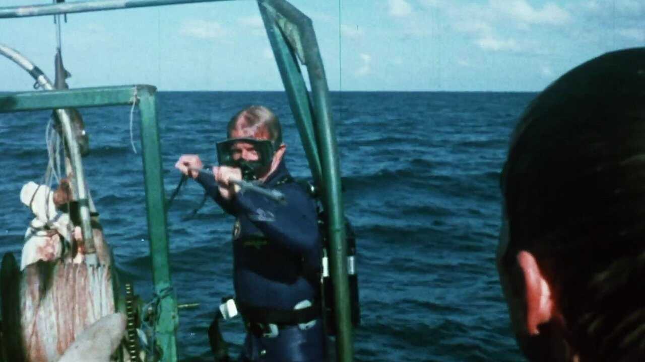 Mako: The Jaws of Death 0