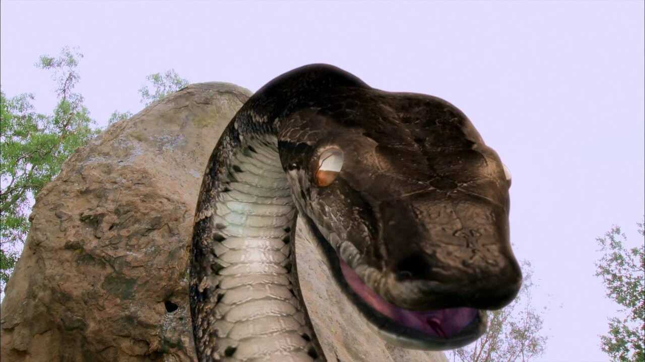 Megaconda (2010) 0