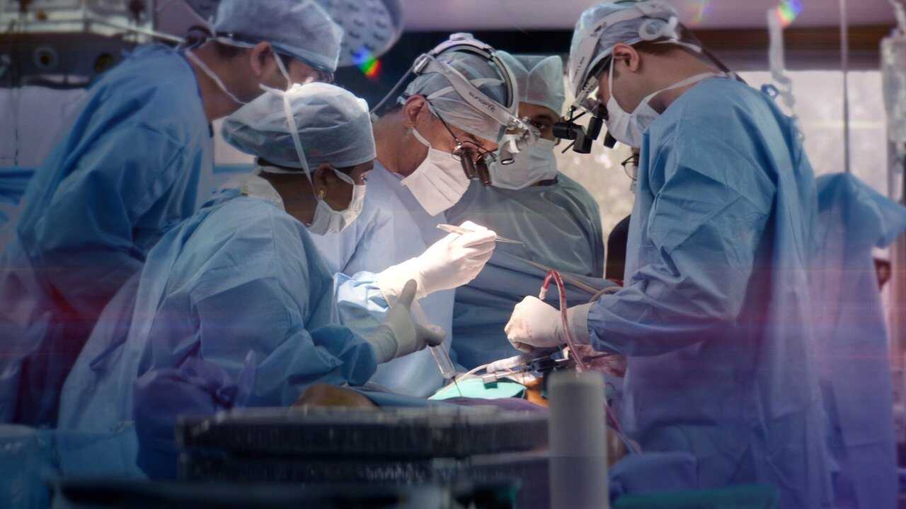 DE - The Surgeon's Cut (2020) 0