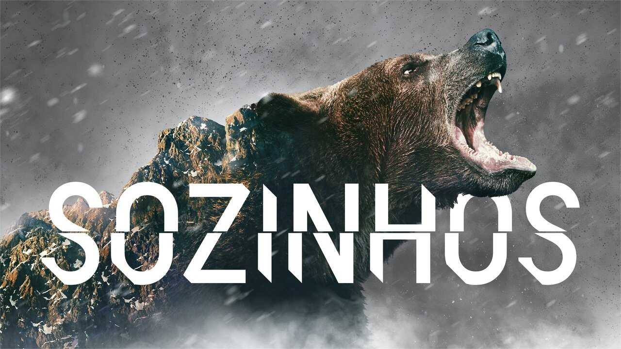 FR - Alone : Les survivants (2015) (US) 0