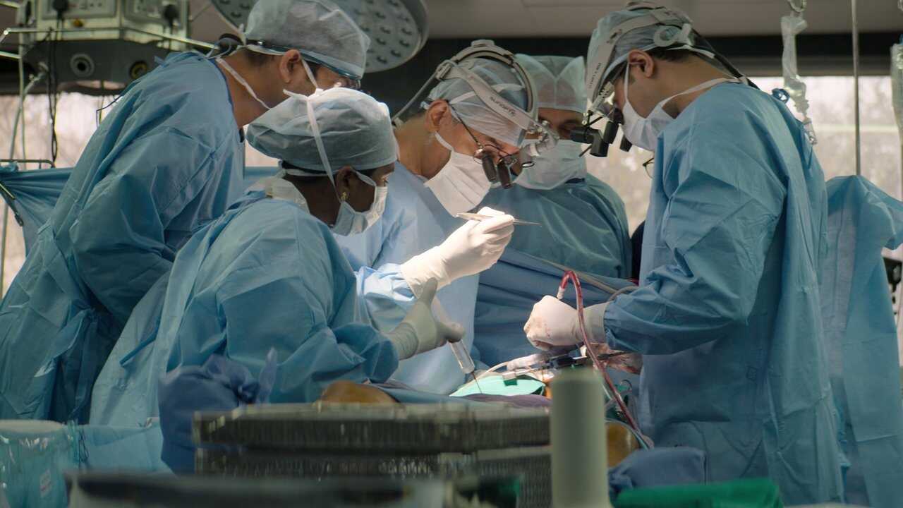 DE - The Surgeon's Cut (2020) 1