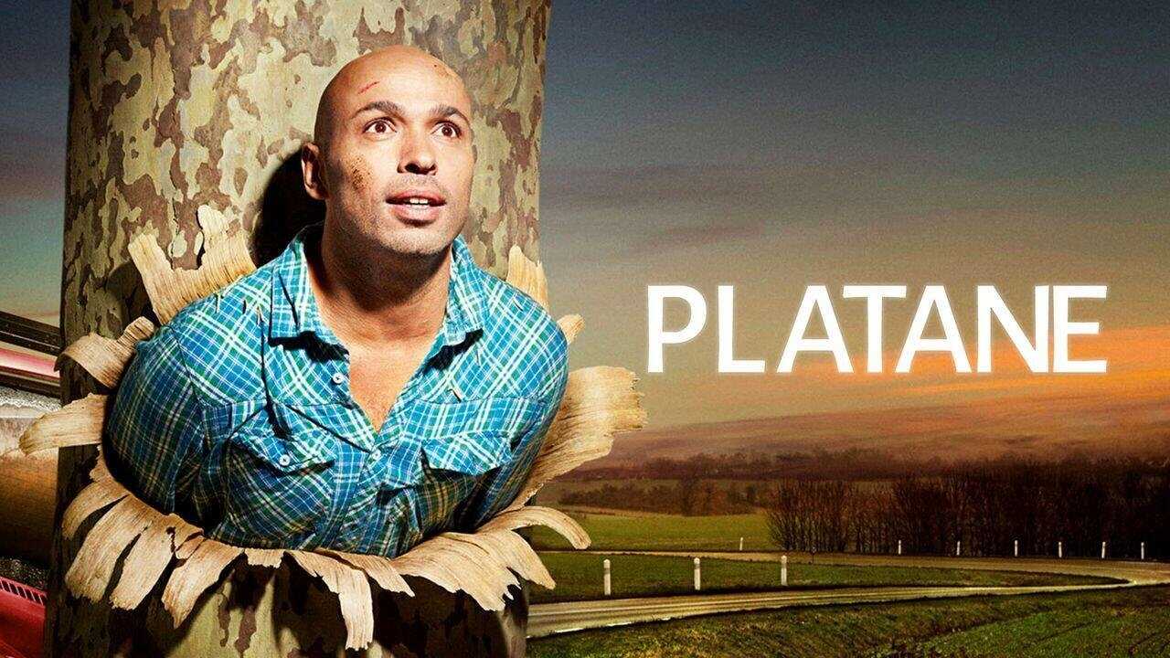 FR - Platane (2011) 1