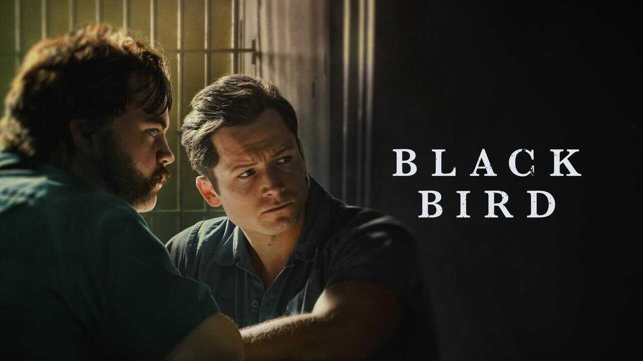 AL - Black Bird 4
