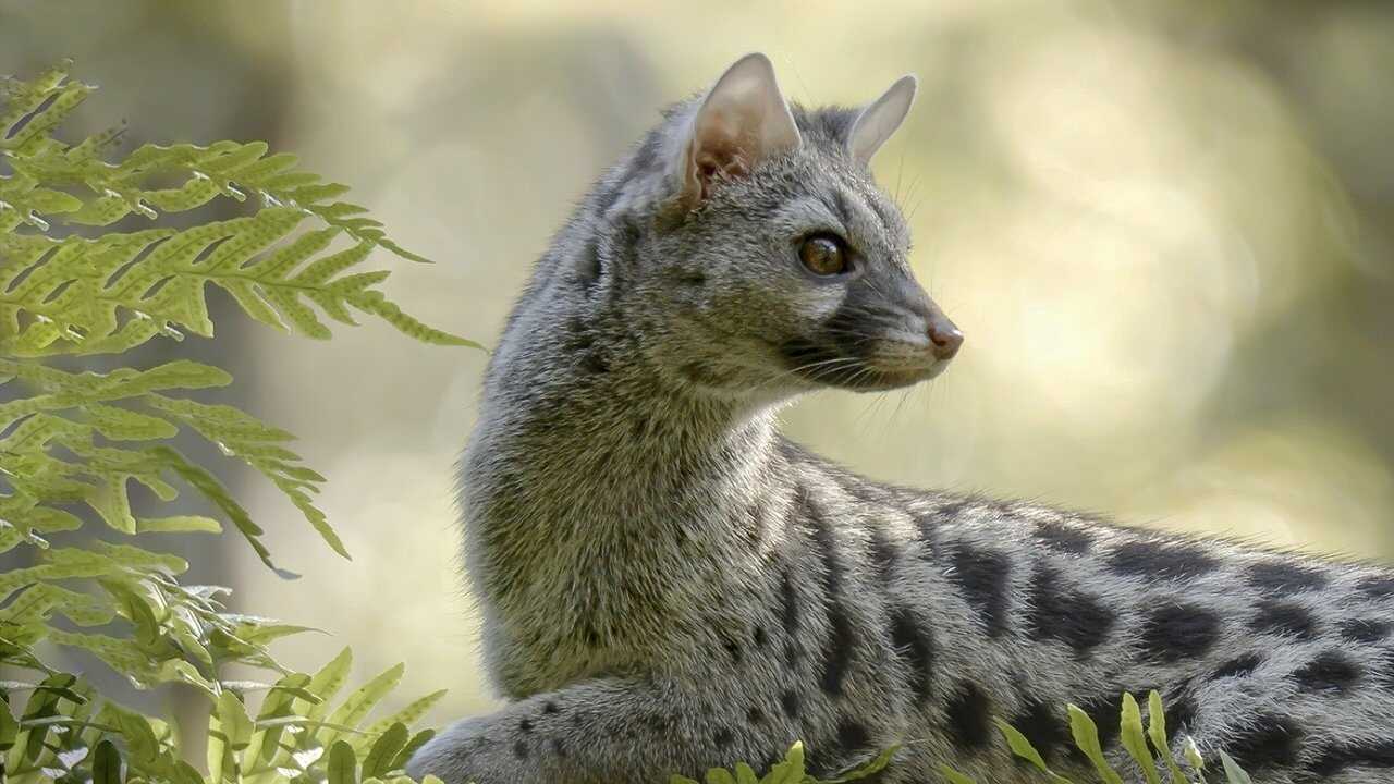 EN - Hidden Wonders of Europe (2022) 0